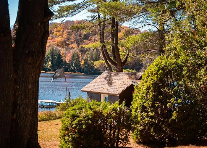 Domaine Chalets Des Pins